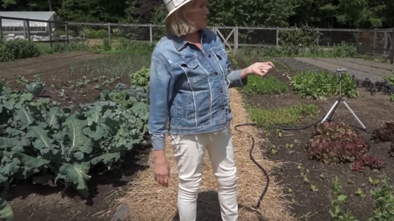 Martha Stewart in vegetable garden