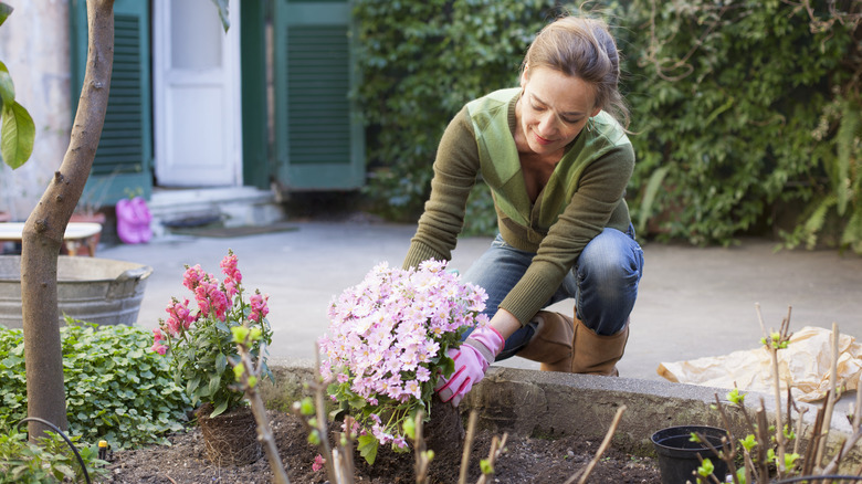 woman planting flowers in her backyard