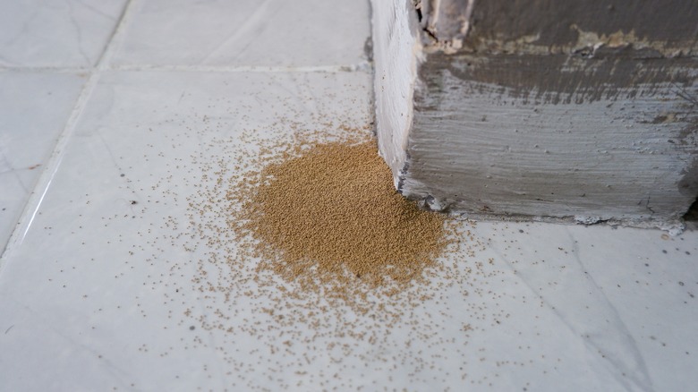 drywood termite droppings