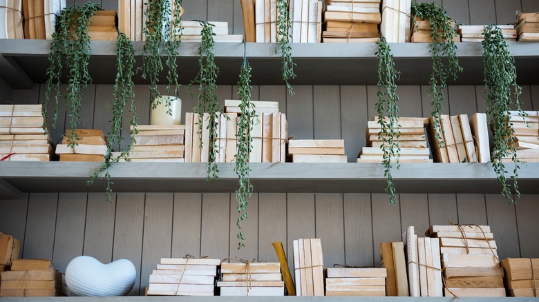 Neutral bookshelves