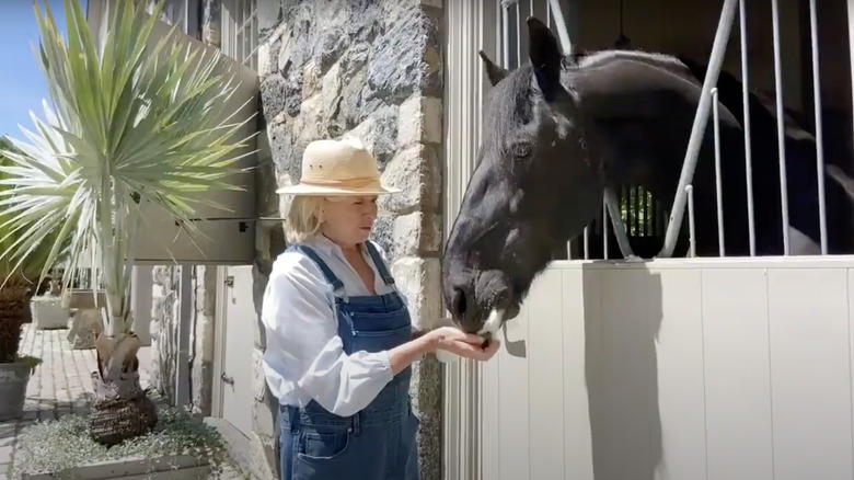 Martha feeding a horse