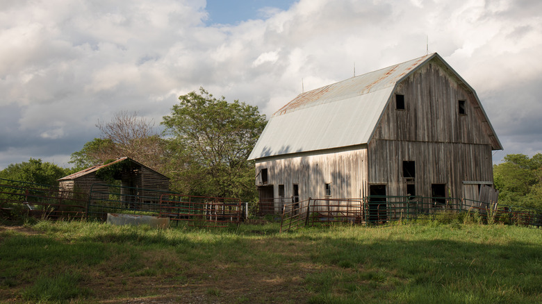 Distressed barn wood in field