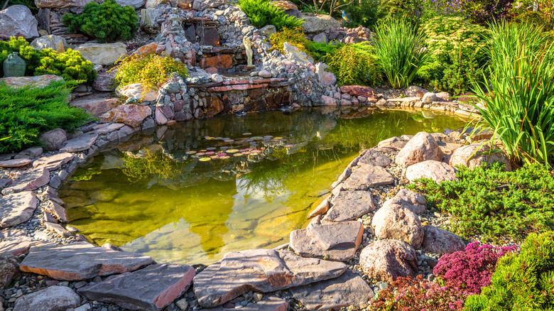 Garden pond surrounded by rocks