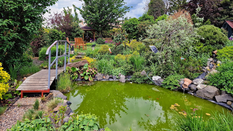 Garden pond with small bridge