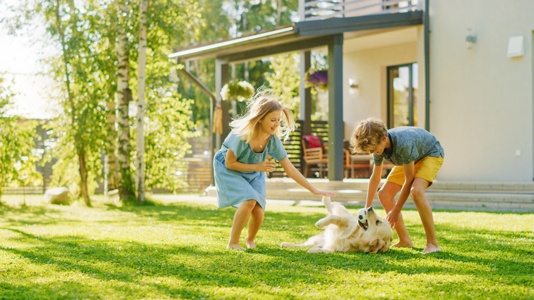 kids outside with dog