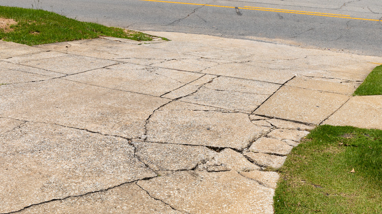 Cracked driveway