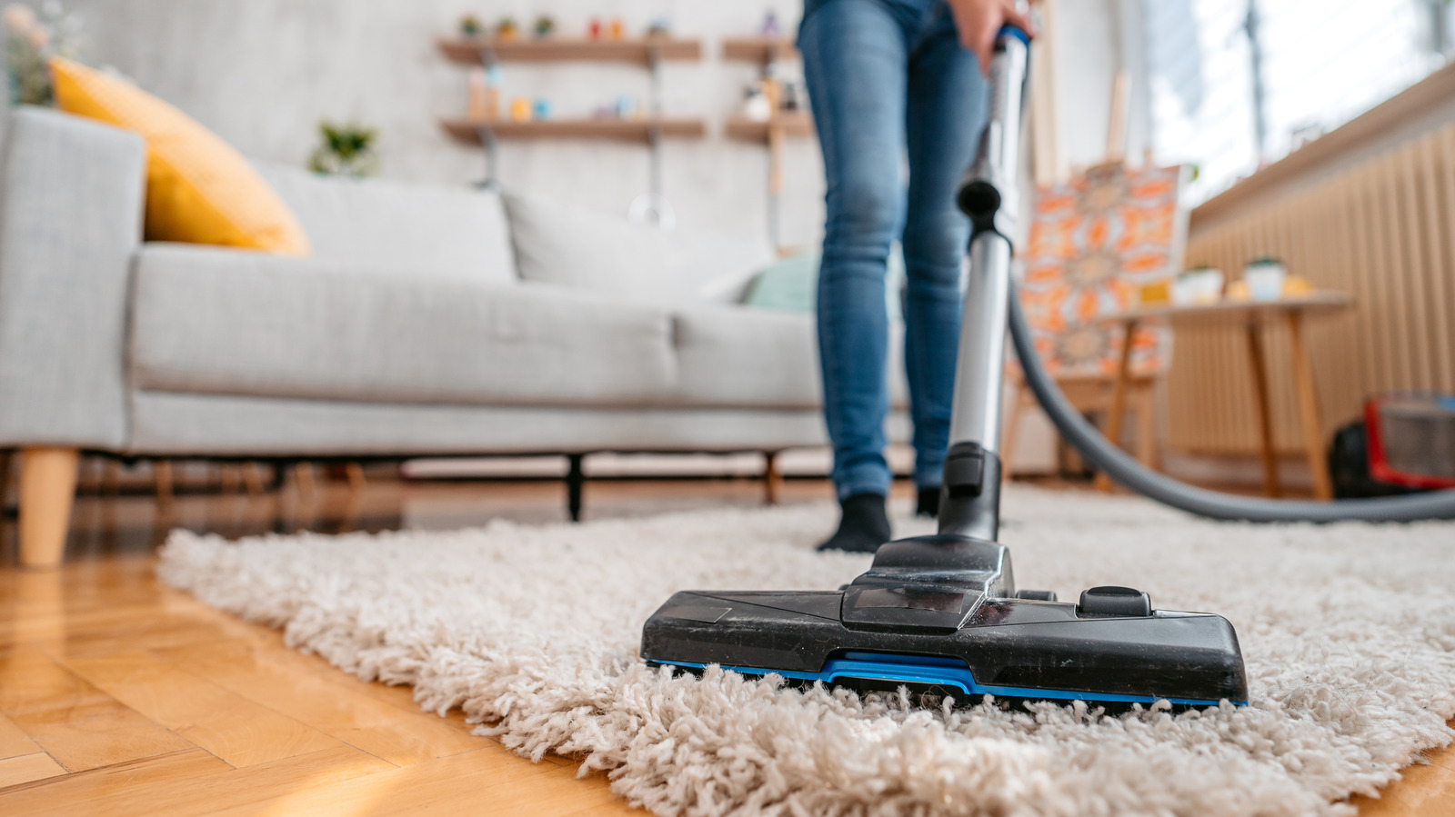 Bugs In Vacuum Cleaner