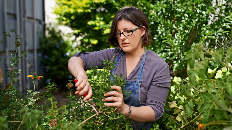 woman pruning plants