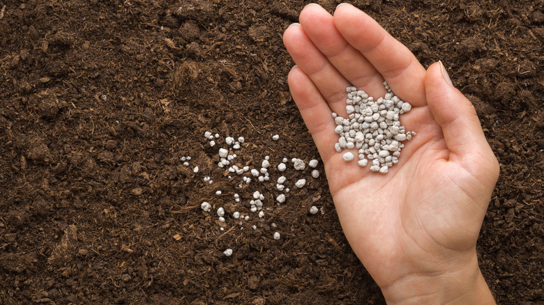 Fertilizing dry soil
