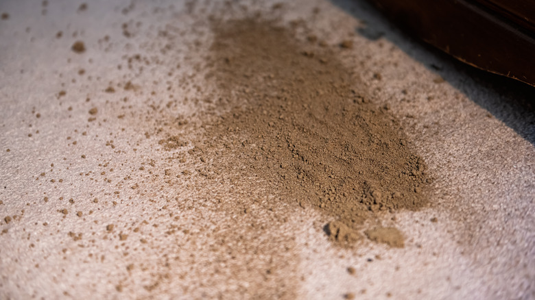 Brown dusty dirt on beige surface