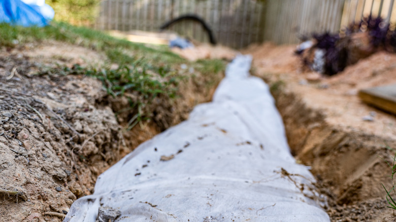 French drain backyard water problem