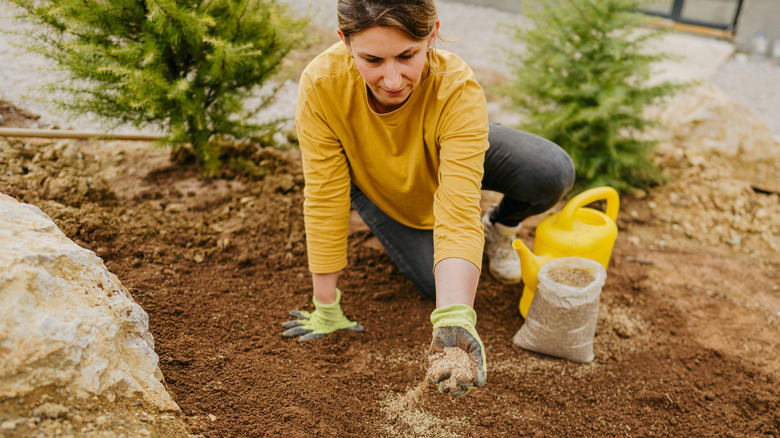 A woman planting grass seed