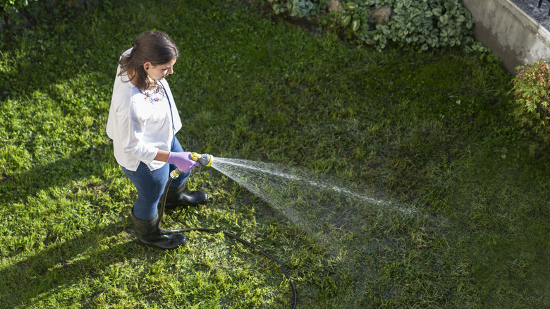 A woman watering grass