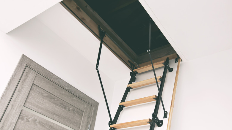 Attic ladder with large opening