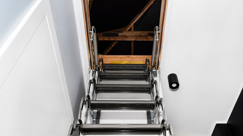 Opened ladder with attic view