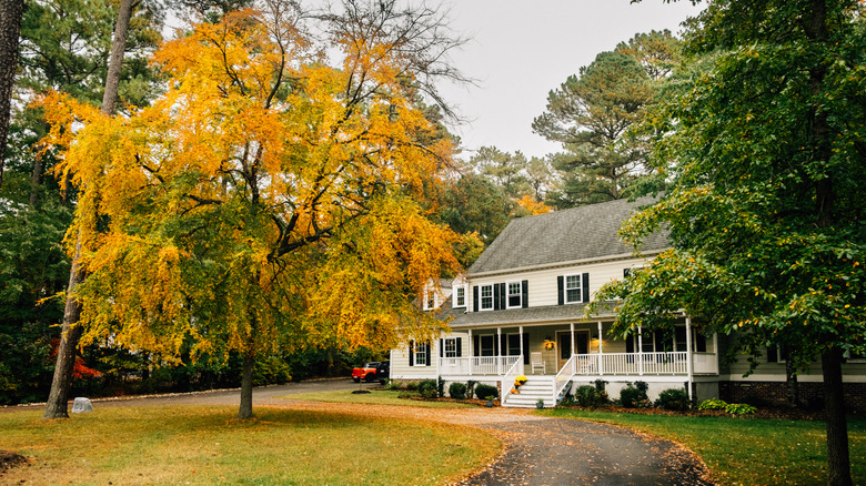 house with trees in front yard