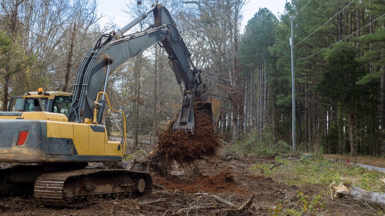 backhoe pulling stump out of ground