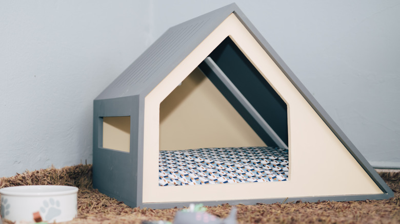 modern style dog house