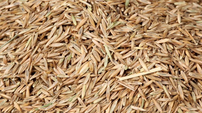 grass seeds in a pile