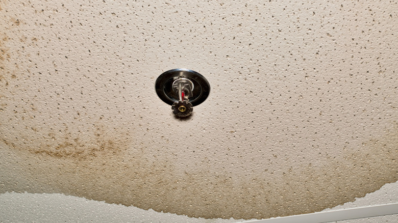 Water damage in ceiling surrounding a fire sprinkler