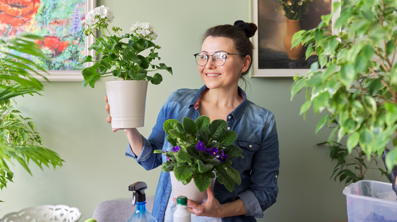 Smiling woman holding African violets
