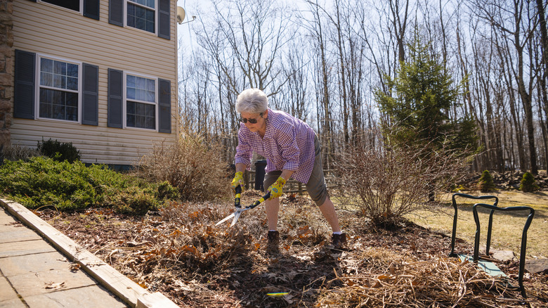 Woman doing garden spring cleaning