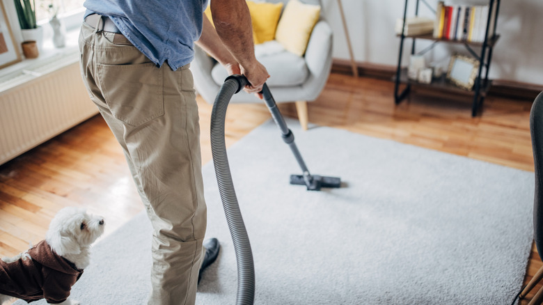 Person vacuuming carpet