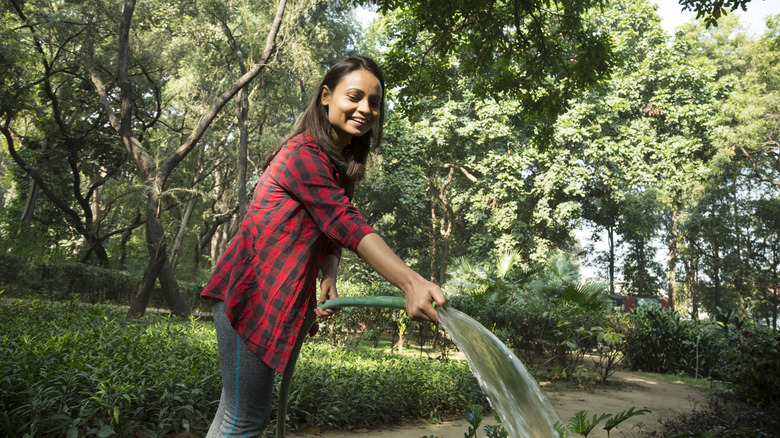 woman watering trees