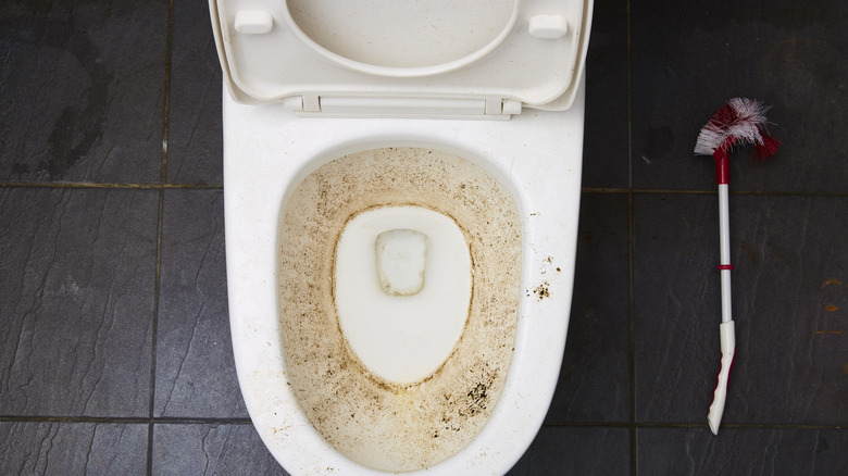 What To Do About Black Mold Around Your Toilet Base