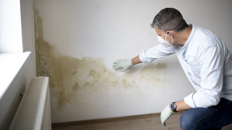 man looking at mold 