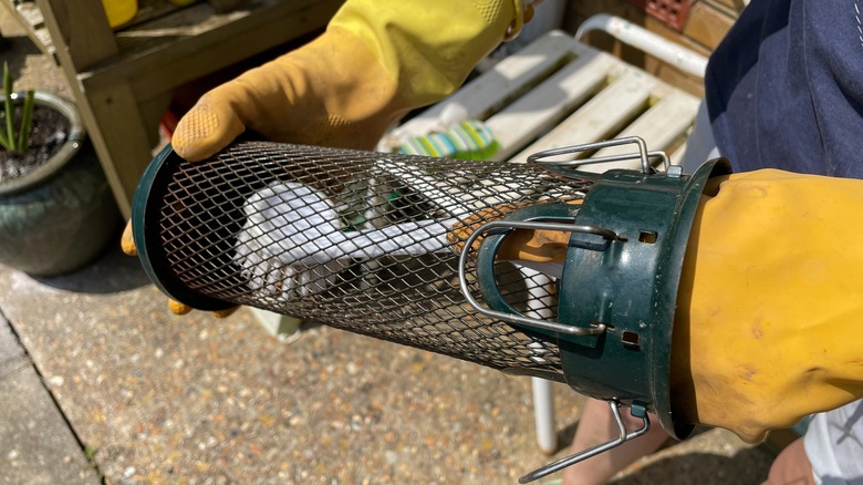 cleaning a bird feeder