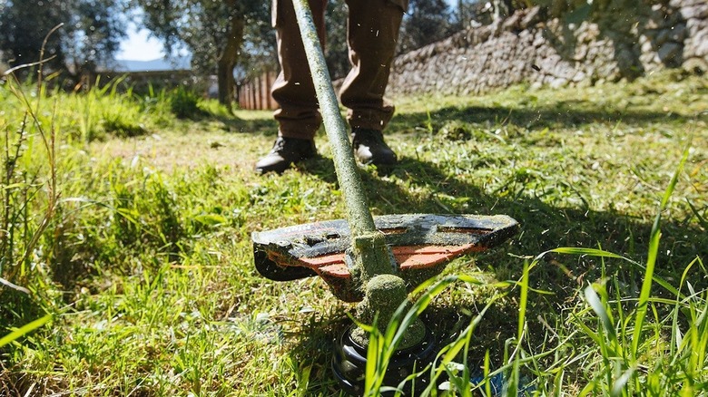 Echo string trimmer cutting grass