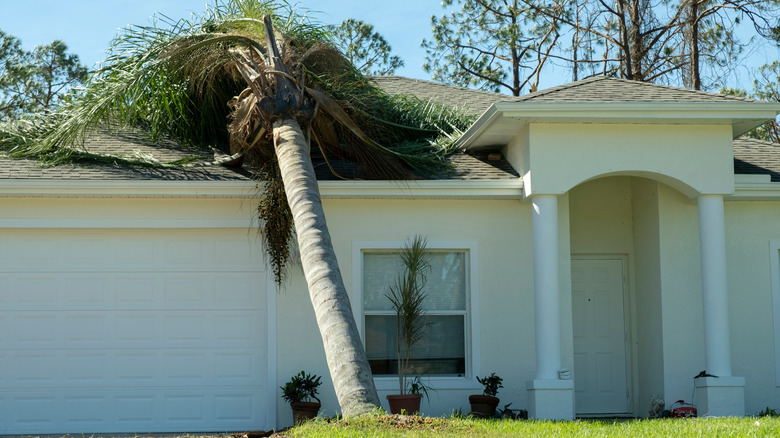 Tree fallen on roof of a single-story house due to a storm