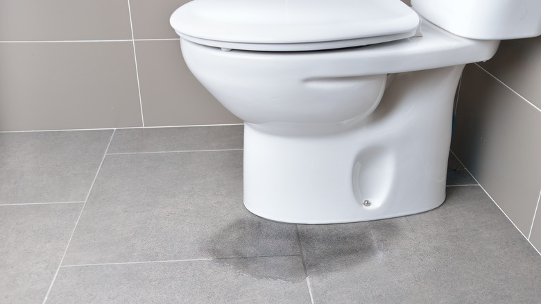 water leaking near toilet bowl