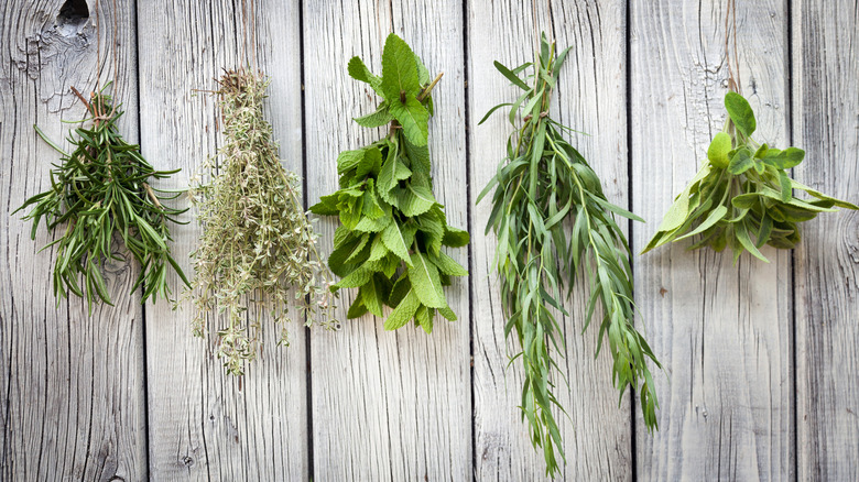 Herbs in small bundles