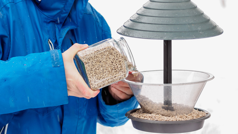 Filling a bird feeder
