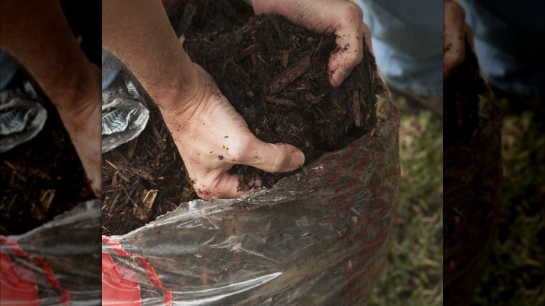 hands placing fresh mulch