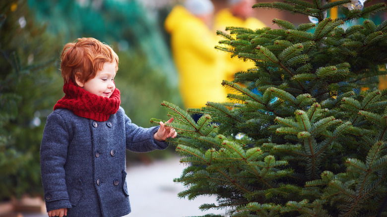 Little boy touching Christmas tree