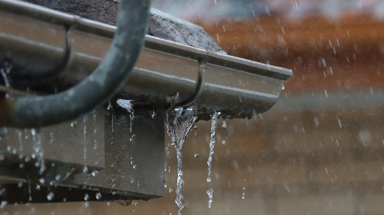 A gutter during a rainy day