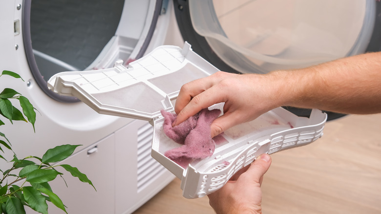 person cleaning a dryer lint filter