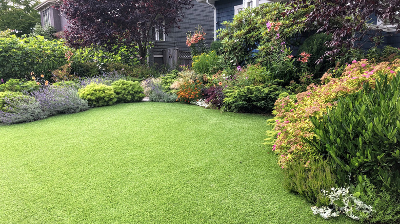 shrubs and turf on lawn