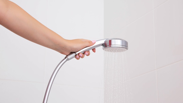 person holding shower handset