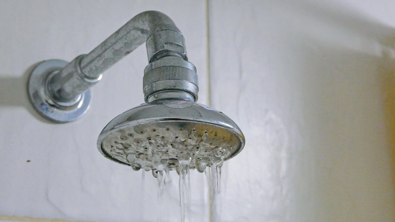 water dripping from shower head