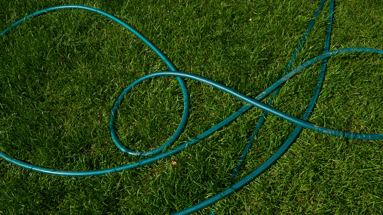 Hose winding around yard