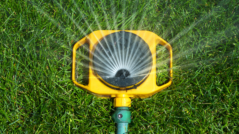 What To Know Before Installing An Above Ground Sprinkler In Your Lawn