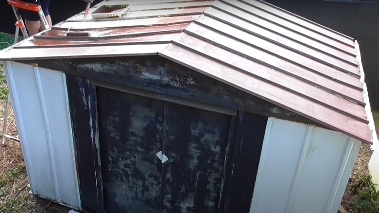 painting roof on shed