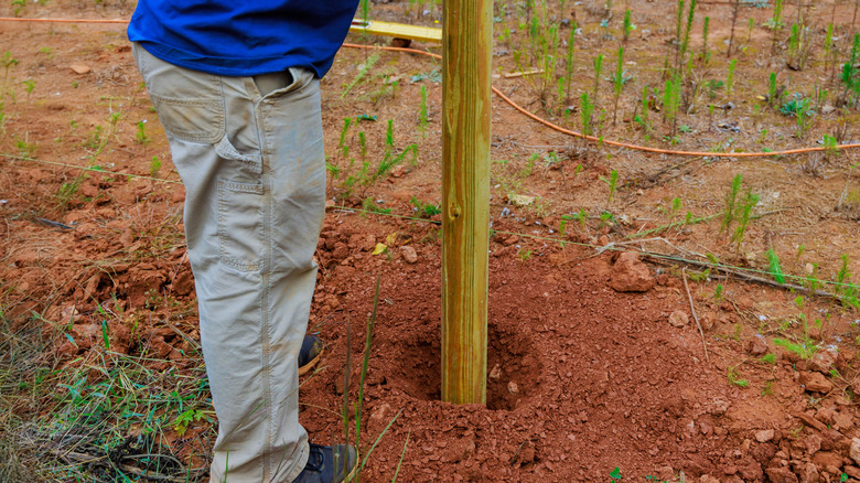 Man installing a fence post in red dirt