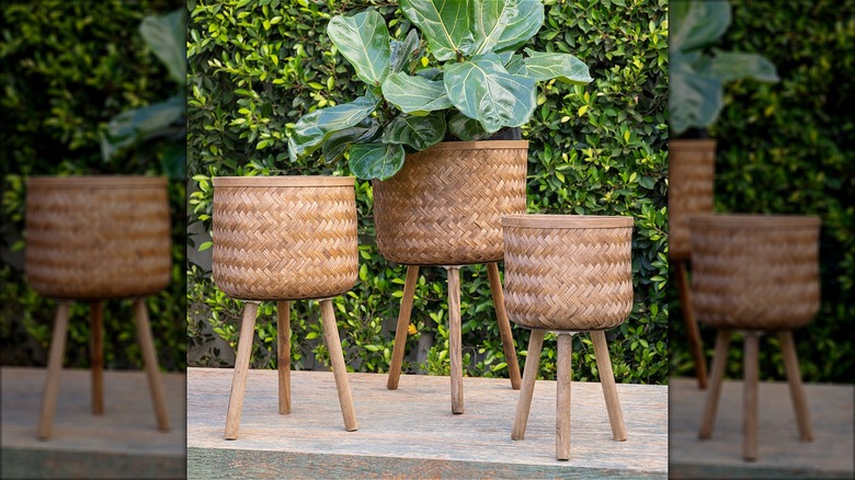 wicker plant stands outside