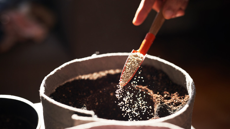 Person adding fertilizer to potted plant