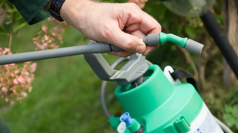 Liquid lawn fertilizer sprayer